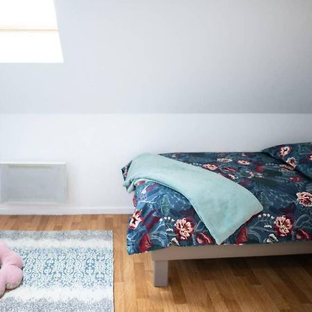 Duplex Tout Equipe, Proche Centre-Ville Colmar, Parking Екстер'єр фото