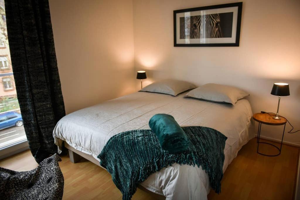 Duplex Tout Equipe, Proche Centre-Ville Colmar, Parking Екстер'єр фото